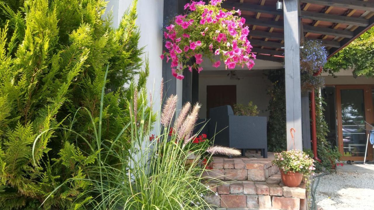 Apartamento Kamien Baltyku Debina  Exterior foto