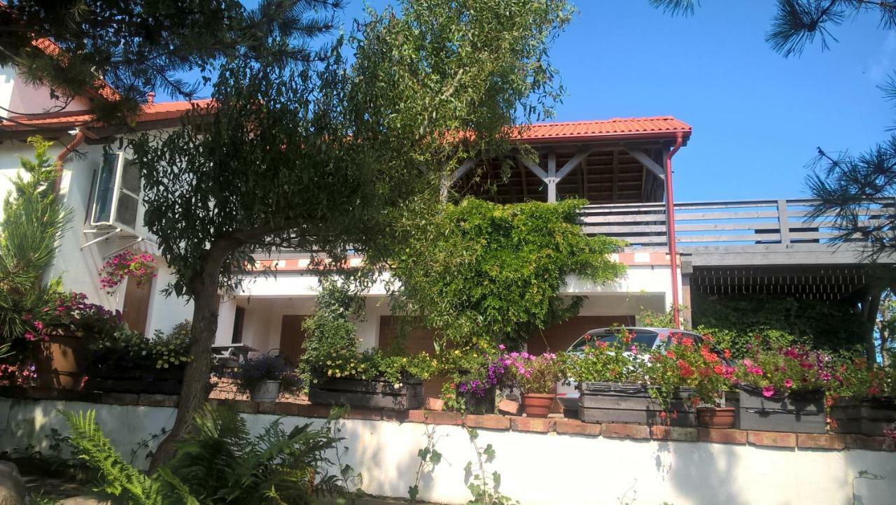 Apartamento Kamien Baltyku Debina  Exterior foto